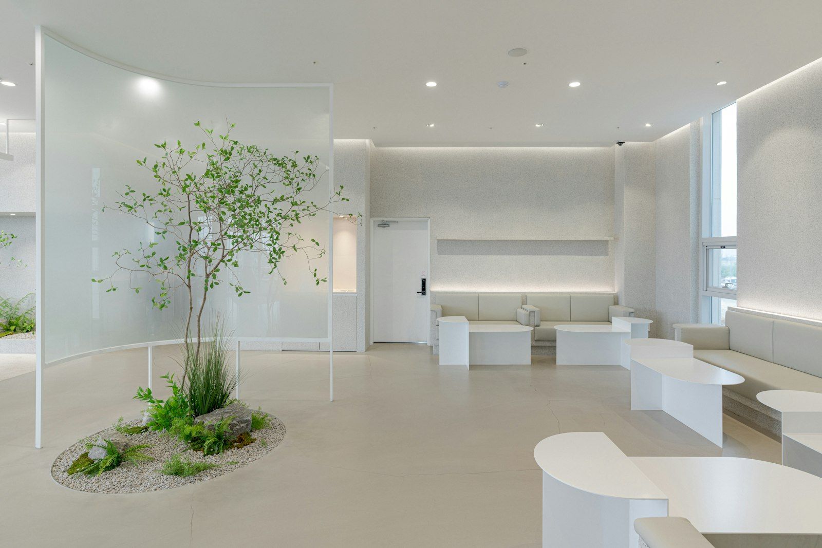 A bright, minimal clinic reception
